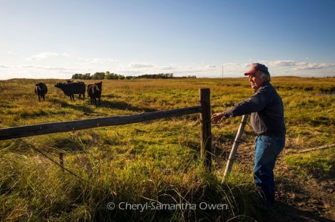 Lynn Ballagh surveys his land (Image Credit: Cheryl-Samantha Owen)